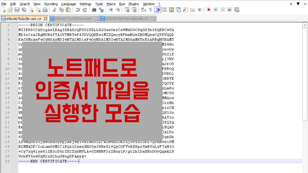 노트패드로 인증서 파일을 실행한 모습