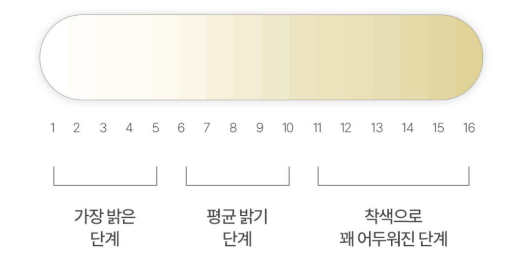 치아착색의 16단계