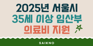 2025년 서울시 35세 이상 임산부 의료비 지원사업