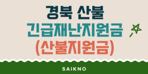 경북 산불 긴급재난지원금(산불지원금)