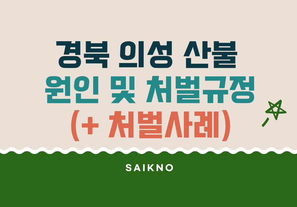 경북 의성 산불 원인 및 처벌규정(처벌사례)