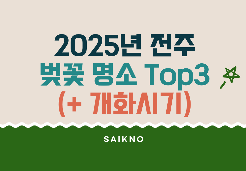2025년 전주 벚꽃 명소 데이트 코스 및 벚꽃 개화시기