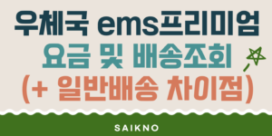 우체국 ems 프리미엄 요금 및 배송조회(일반배송과의 차이점)