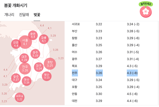 전주 벚꽃 개화시기