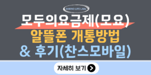 모두의요금제(모요) 알뜰폰 개통방법 및 후기(찬스모바일)