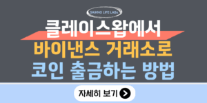 클레이스왑에서 바이낸스로 코인 출금하는 방법(후기)