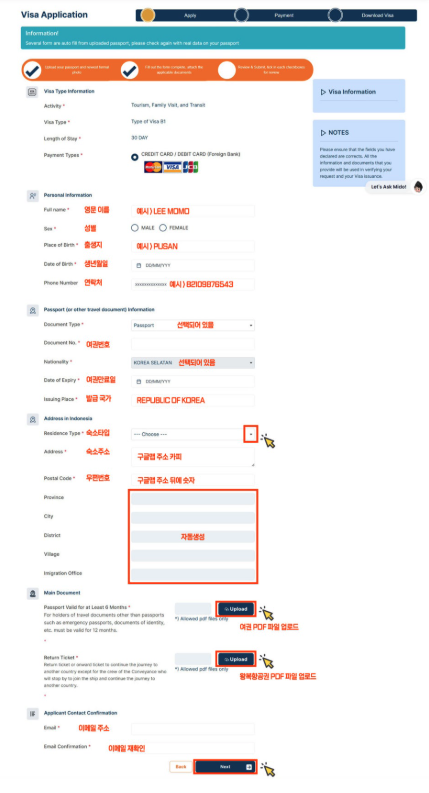 6) 비자 발급 정보 입력