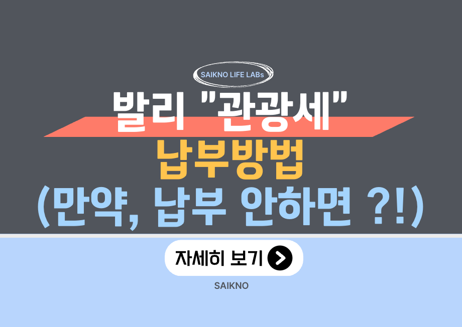 발리 관광세 납부방법(납부 안하면 어떻게 될까)