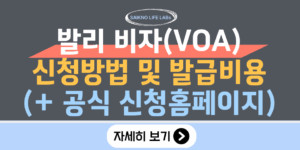 발리 비자(VOA) 신청방법 및 발급비용(공식 신청홈페이지)